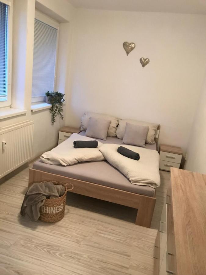 דירות Liptovský Mikuláš Apartman Vil Liptovsky Jan מראה חיצוני תמונה